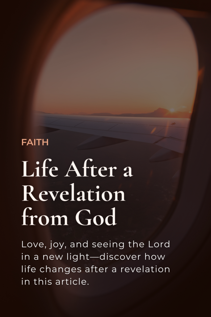 Cover image for an article on Life After a Revelation from god, featuring an airplane flying at sunset.
