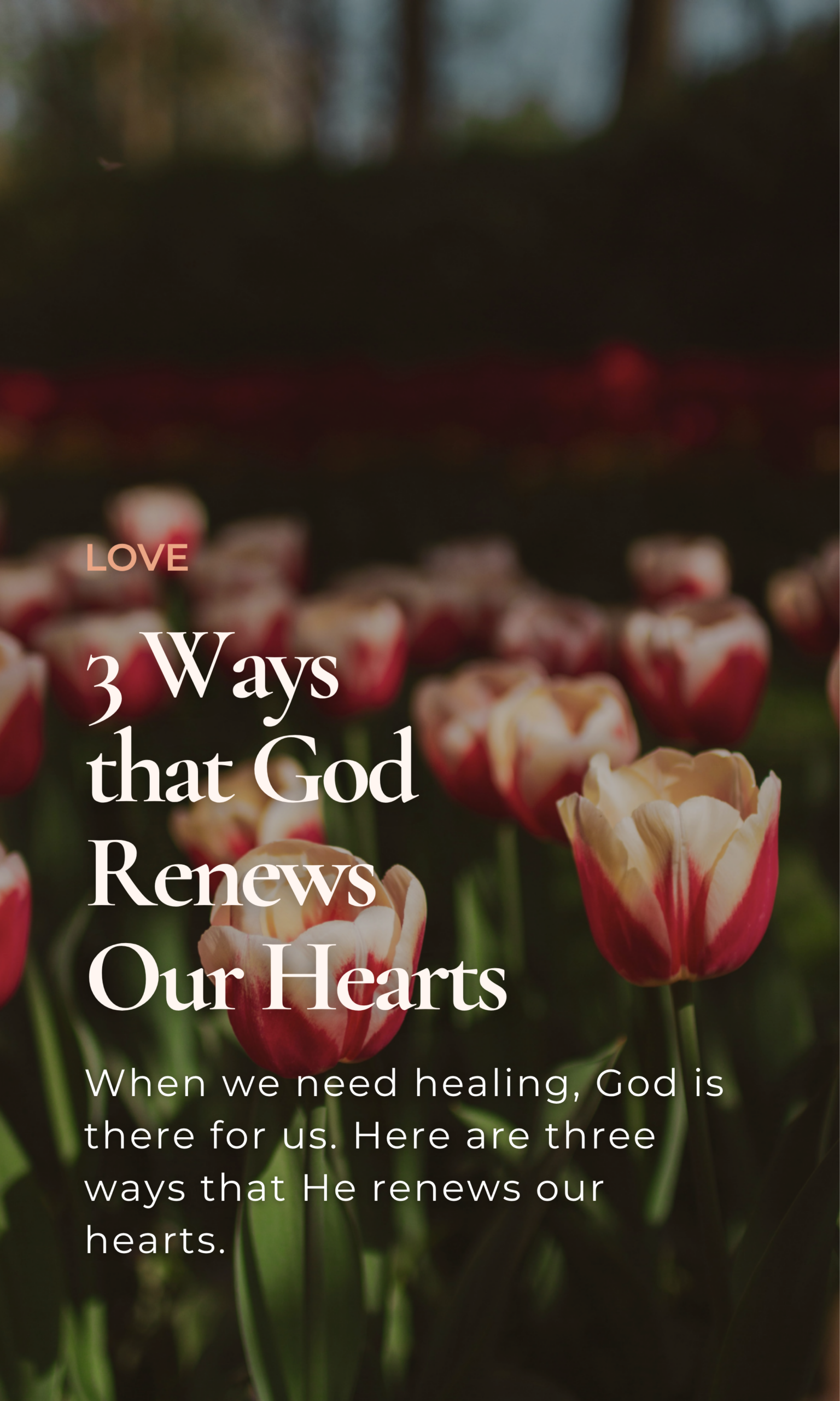 3 Ways that God Renews Our Hearts