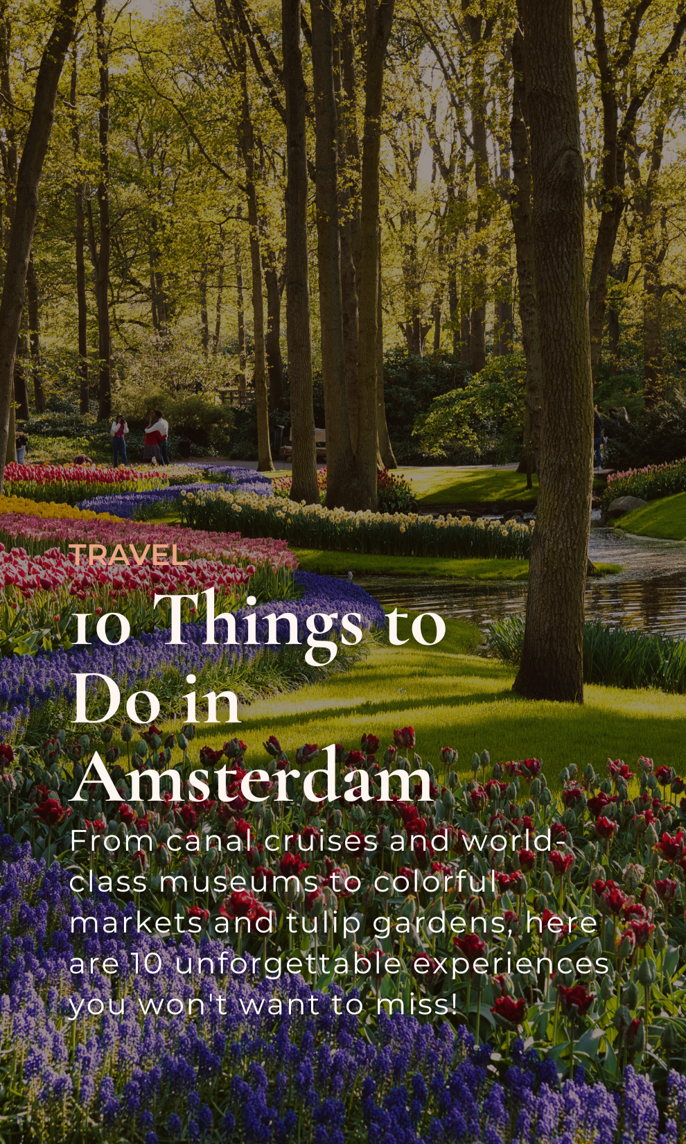 10 Things to Do in Amsterdam