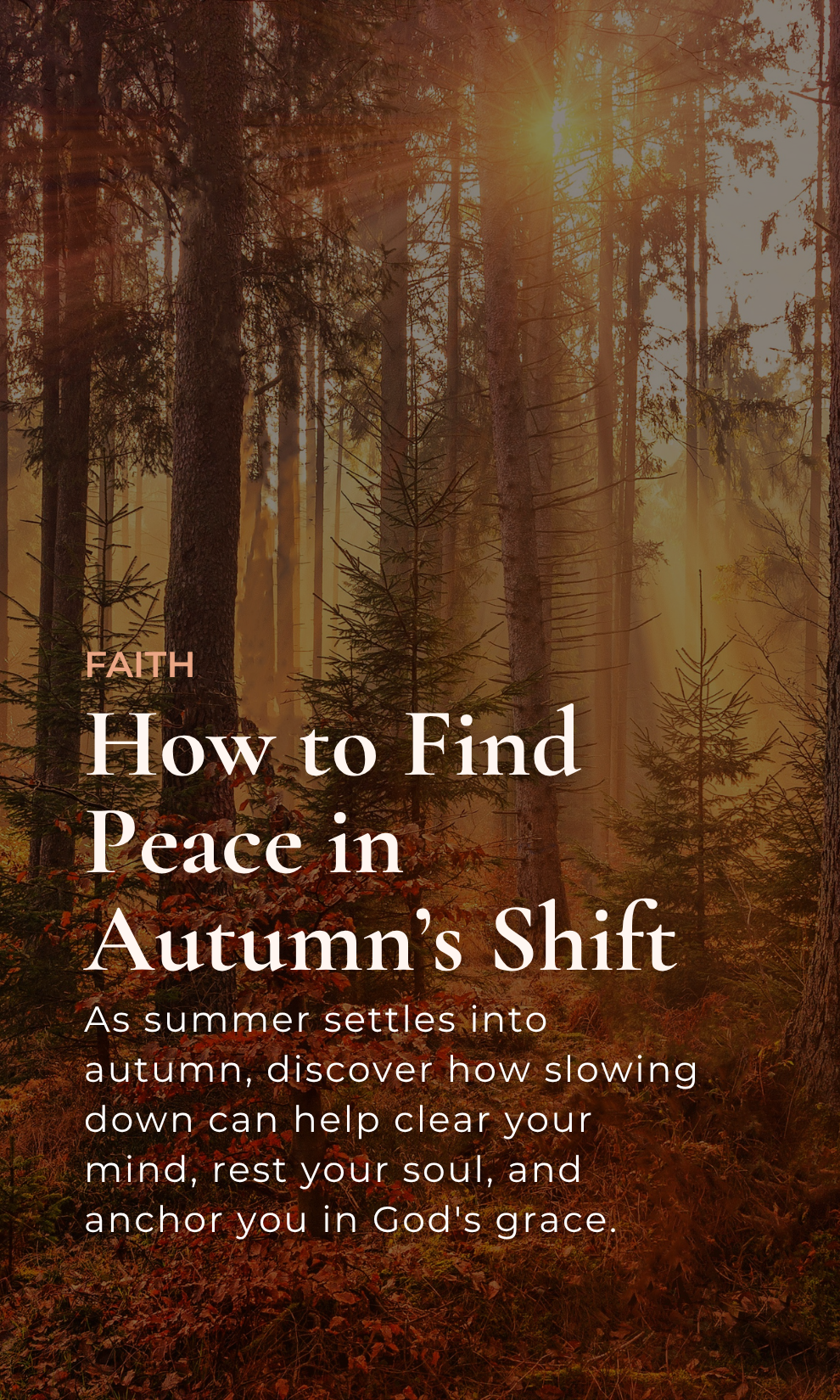 How to Find Peace in Autumn’s Shift