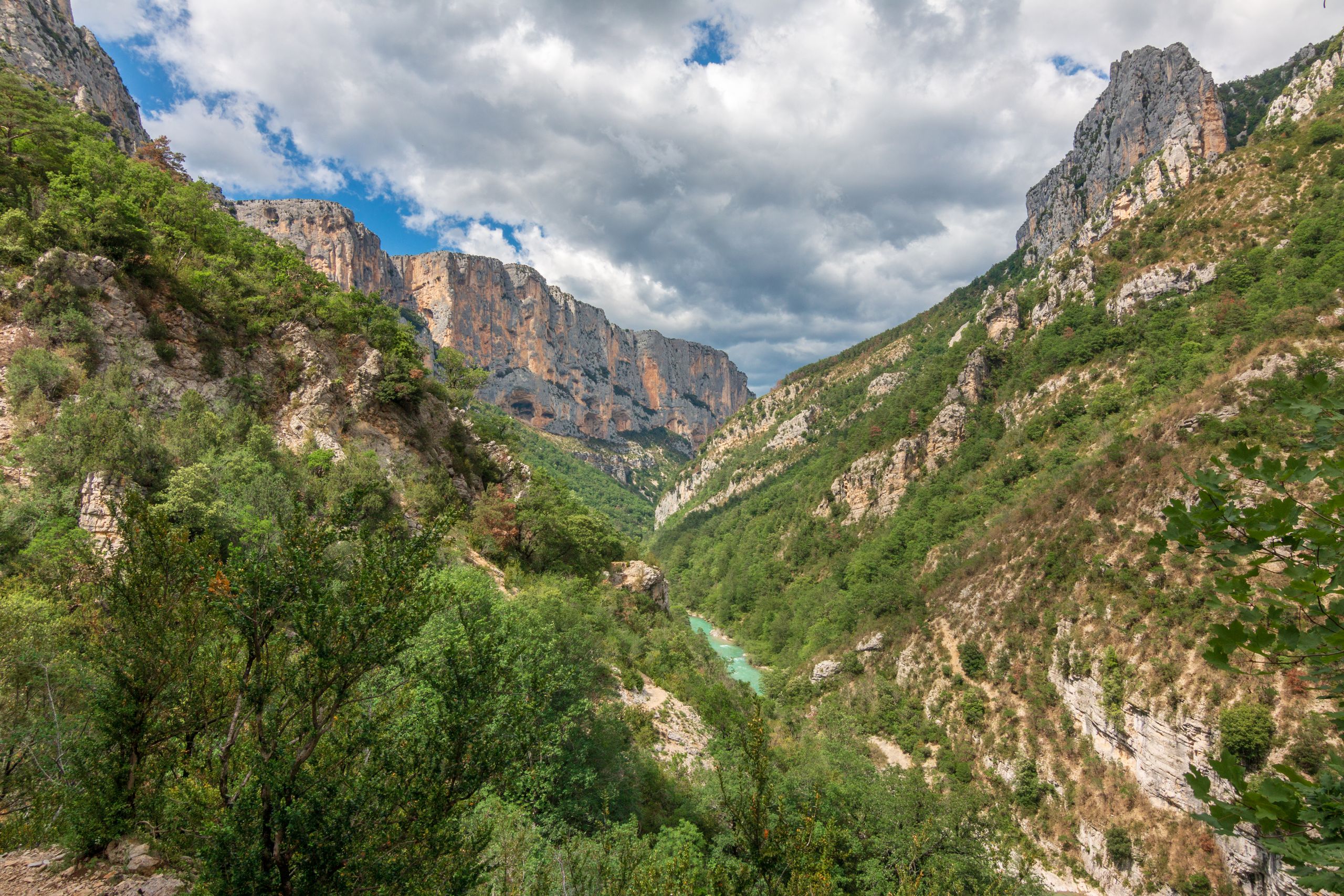 Capture of the breathtaking Verdon Gorge with lush greenery and dramatic cliffs in Provence, France.