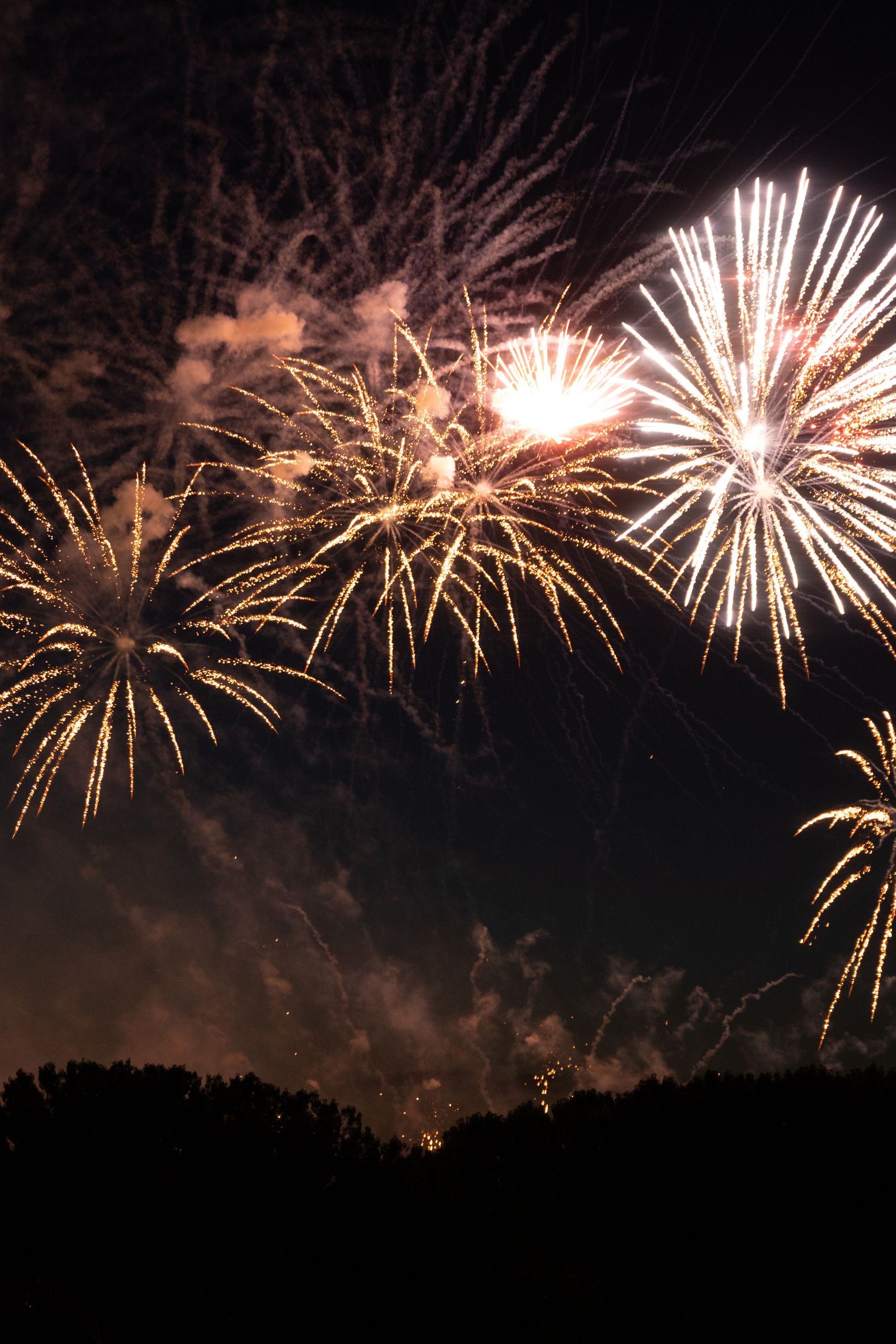 Stunning fireworks burst against a dark night sky, creating a festive and celebratory atmosphere.